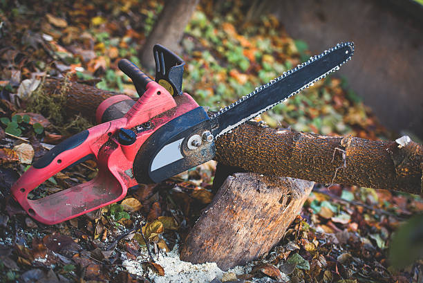 Best Tree Mulching  in Labasas, CA